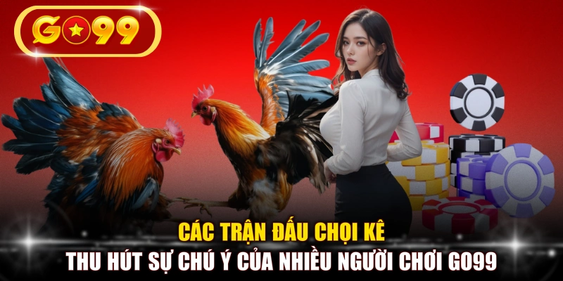 Các trận đấu chọi kê thu hút sự chú ý của nhiều người chơi GO99