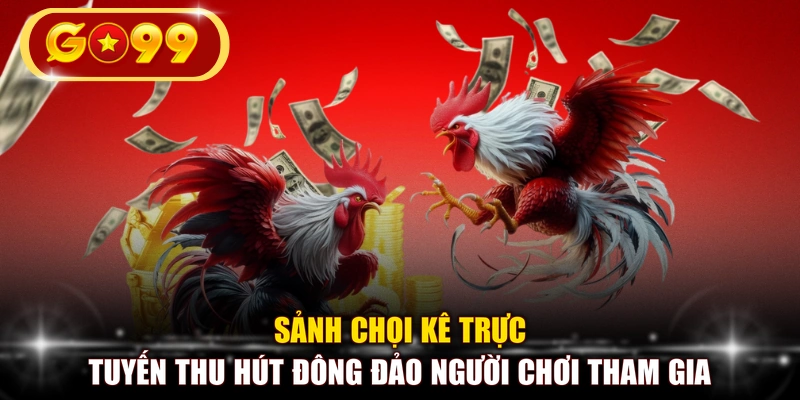 Sảnh chọi kê trực tuyến thu hút đông đảo người chơi tham gia